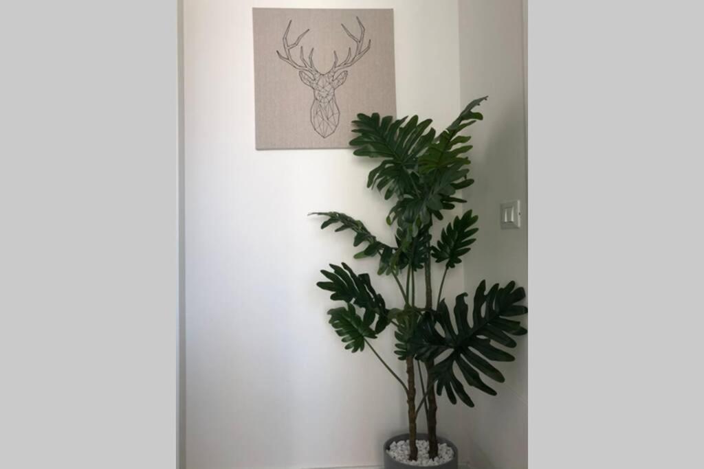 *Central Lakeside Apt*Swimming Pool & Free Parking 페스키에라델가르다 외부 사진